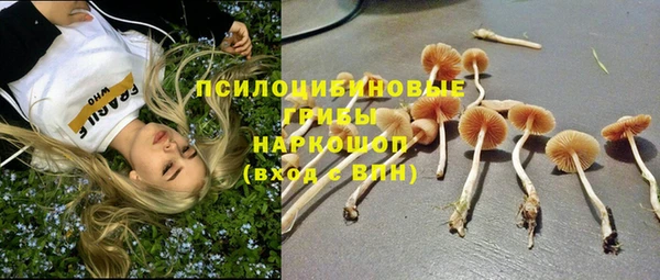 MESCALINE Лагань