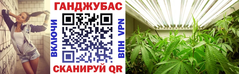 Конопля White Widow  Купить где  Тюмень 
